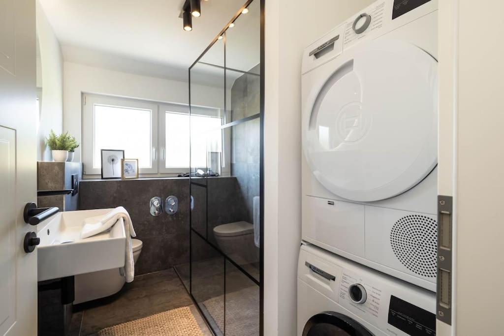 Luxury Apartment On The Rhein Busingen am Hochrhein Exterior photo