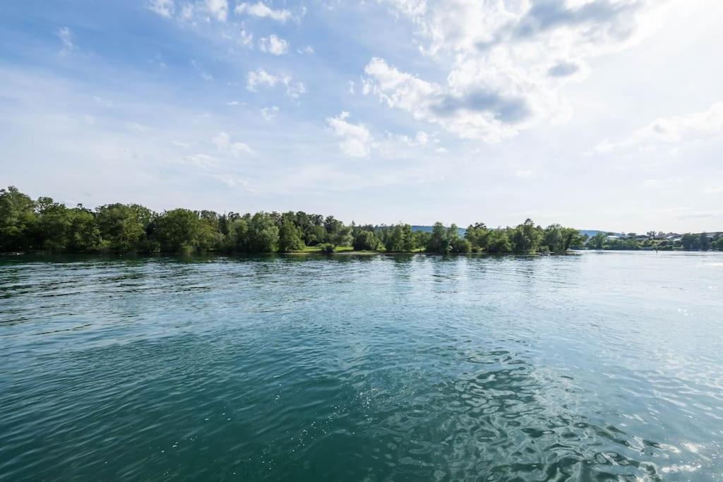 Luxury Apartment On The Rhein Busingen am Hochrhein Exterior photo